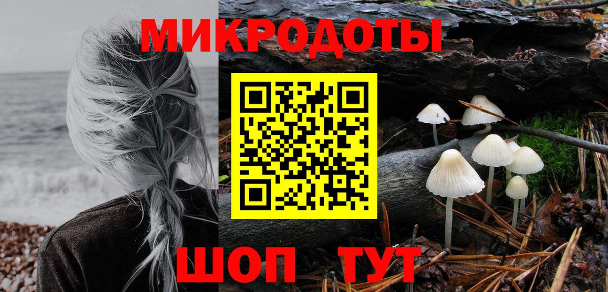 купить закладку  Вход с VPN  Якутск  Псилоцибиновые грибы Cubensis 