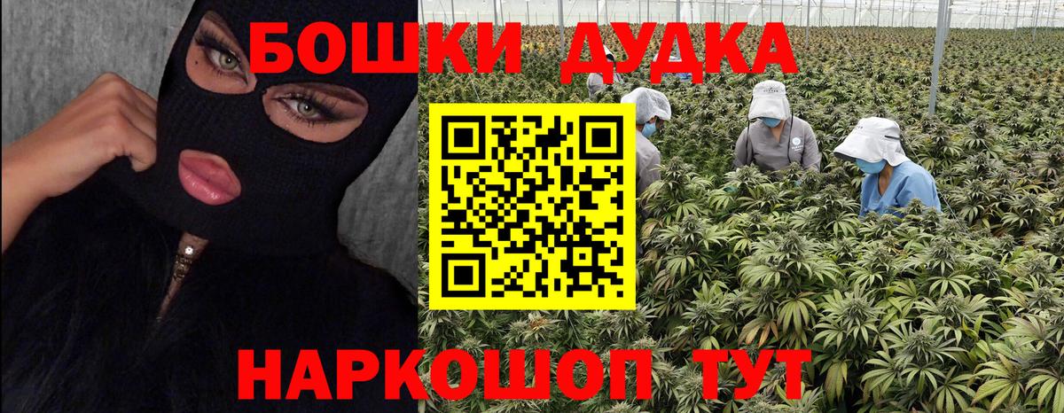 Бошки марихуана план Якутск